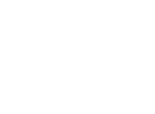 Logo Rabbi Alpine Trail